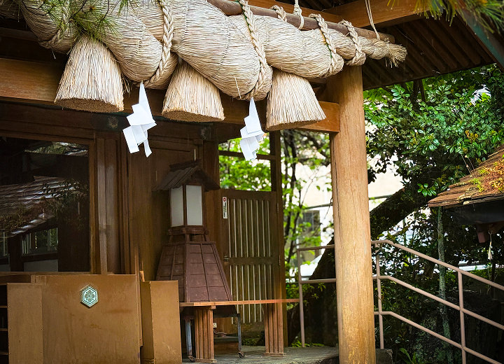 境内の風景